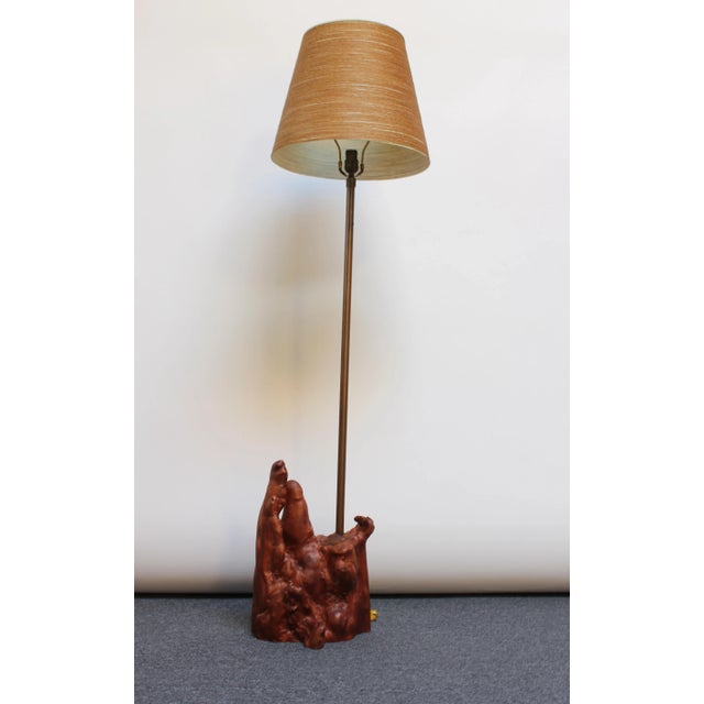 Sculptural Driftwood and Brass Floor Lamp For Sale - Image 13 of 13