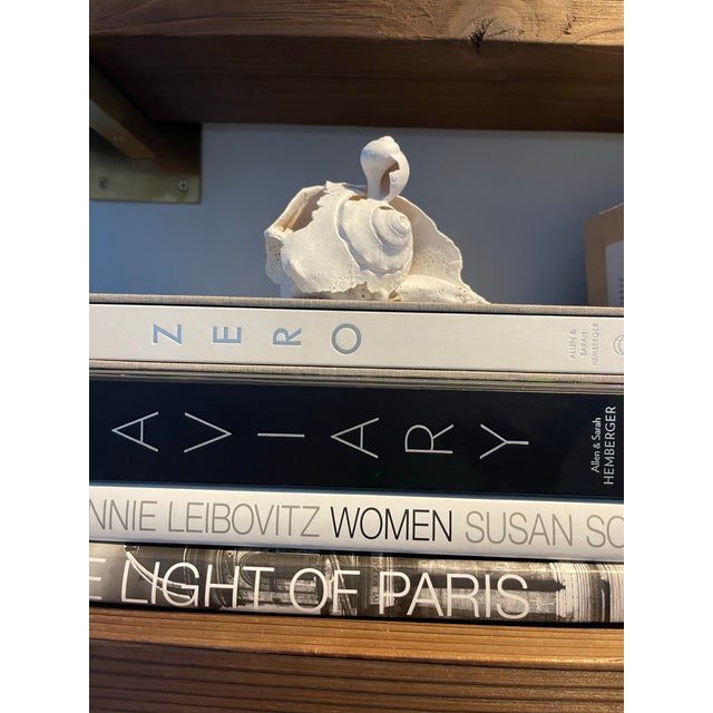 Paint “Time Unfolds Peace” 1/1 Signed by the Artist Cheryl Fudge. Modern Abstraction, Hand Painted Nantucket Shell Sculpture. For Sale - Image 7 of 12