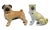 Collection of Forty Two-Pottery and Porcelain Pug Dogs For Sale - Image 9 of 13