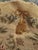 19th Century French Needlepoint Chair Cover Tapestry from Bobyrug, 1890s For Sale - Image 5 of 18