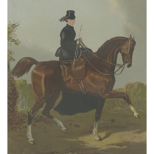 Late 19th Century Ladys Horse from Cassells, 1873, Paper For Sale - Image 5 of 10