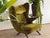 Mid-Century Modern Model 91 Bear Lounge Chair in Teak by Svend Skipper, 1950s For Sale - Image 6 of 16