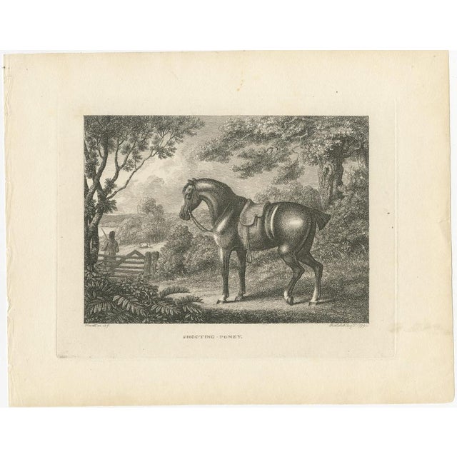 Samuel Howitt, Shooting Pony, 1799, Engraving For Sale - Image 3 of 10