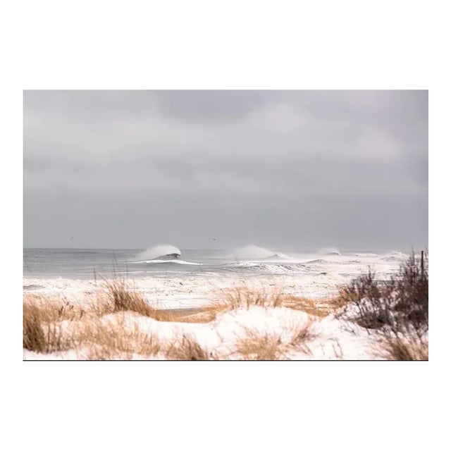 Winter 1 by Daniel Weiss Print, 16" x 24" For Sale