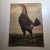 Wonderful back cover of 1950s men's magazine, Gentry. In vintage used condition. Wonderful illustration of a fighting cock...
