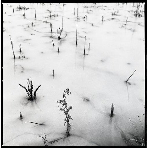 Paul Cooklin, Frozen Lake, Edition of 50 For Sale - Image 4 of 4