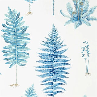 Sanderson Fernery Wallpaper in China Blue - a Sample For Sale