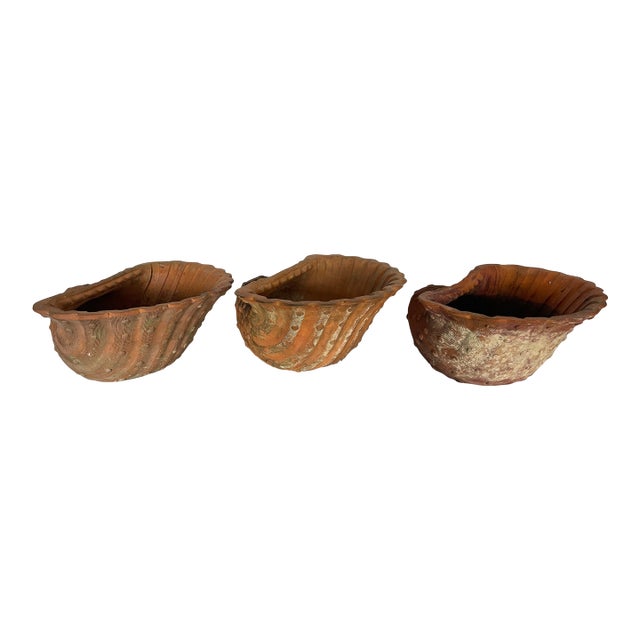 French Antique Set of Three Terracotta Large Shell Planters, 1940s For Sale