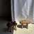 Brutalist Small Wabi-Sabi Oval Teak Occasional Stool For Sale - Image 3 of 18