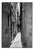 Paul Cooklin, Graffiti, Venice, Italy, Edition of 50 For Sale