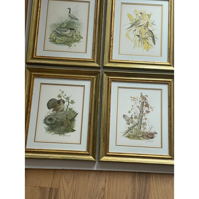 1950s 1950s Vintage J Lockhart Bird Prints in Golden Framed- Set of 4 For Sale - Image 5 of 6