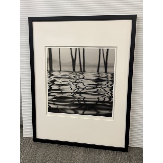 Design Plus Gallery presents a Framed Twigs and Water Black & White Photograph by Michal Venera. This monochrome...