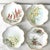 Amazing, rare collection of antique German Rosenthal & Co. Monbijou plates. Set of 4. Each plate is handpainted with a...