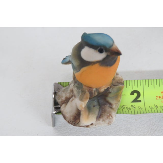 Capodimonte Savastano Eurasian Blue Tit Ceramic Figurine Bird on a Branch 4496b For Sale - Image 12 of 17