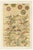 Japanese Floral Motifs on Golden Background, 1880s, Paper For Sale - Image 10 of 10