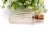 Perfume Bottle in Glass and 15 Karat Gold For Sale - Image 3 of 6