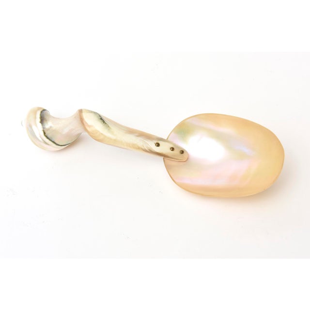 Tan Vintage Coastal Mother of Pearl Organic Modern Twisted Serving Spoon 1980's For Sale - Image 8 of 10