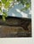 Greige 1995 Persis Clayton Weirs "Do Not Disturb" Signed Numbered 54/950 Print Cats, Birds W/ Coa For Sale - Image 8 of 9
