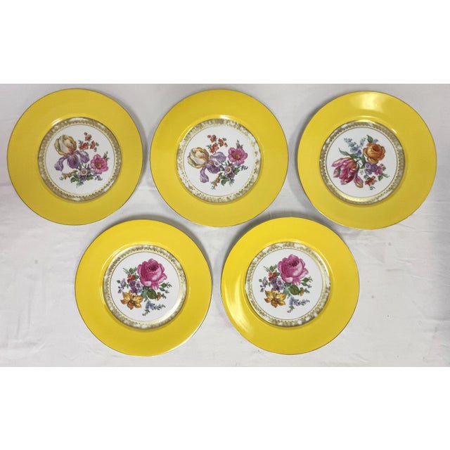 Bright and colorful set of five vintage Victoria Czechoslovakia dinner plates from the mid 20th century. The are made of...