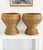 Two large rattan pedestal planter baskets in excellent condition. 17 x 17 x 18h Perfect for a fern or small Evergreen trees.