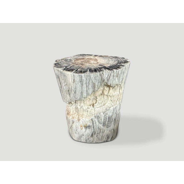 Andrianna Shamaris Ancient Petrified Wood Side Table For Sale - Image 4 of 4