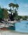 Late Summer Light on Cornwall Cove by Jon Doran | Oil on panel Landscape of a coastal cove with trees. For Sale
