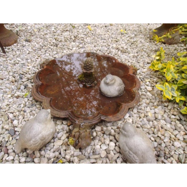 An exceptional antique birdbath from France, large, heavy iron, and plenty of room for splashing. It's also a beautiful...