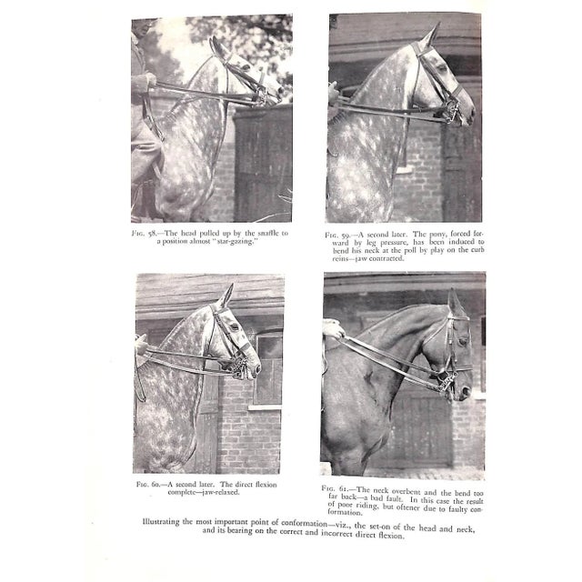 "Bridle Wise: A Key to Better Hunters - Better Ponies" 1949 Goldschmidt, Lt. Col. s.g. For Sale In New York - Image 6 of 12