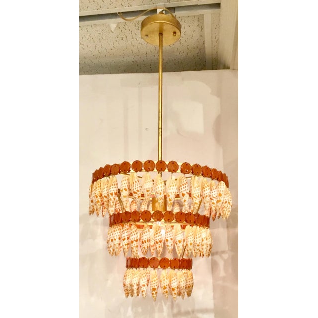Stylish Transitional La Met Mitra Shells and Brass Chandelier, showroom floor sample, original retail $1968