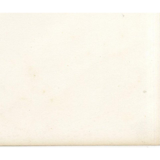 Deroy, Toulouse Veterinary School, Three Views, 1873, Paper For Sale - Image 10 of 12