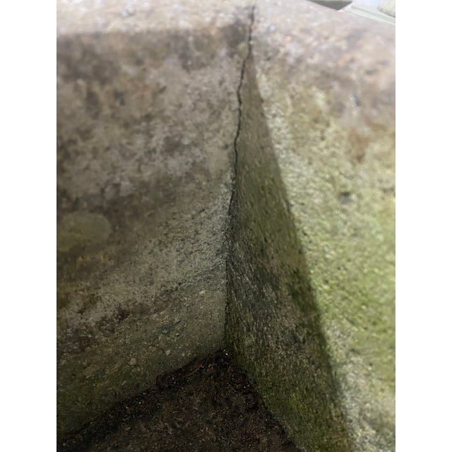 1940s Mid-Century Neoclassical Cherub Relief Trough — Charleston Estate Rescue For Sale - Image 13 of 16