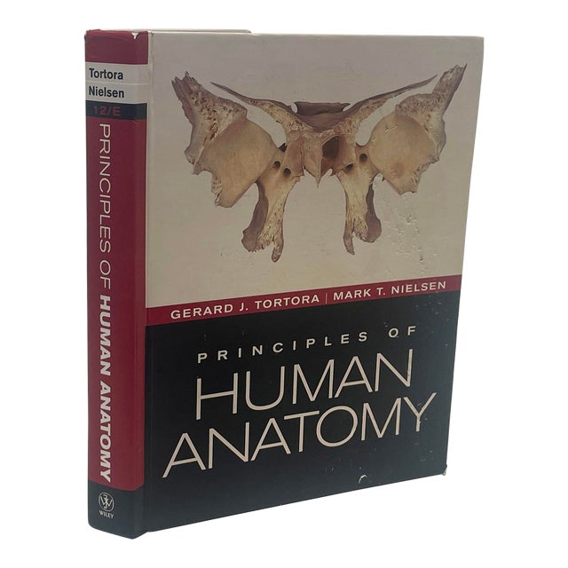 Principles of Human Anatomy by Gerard J. Tortora Mark Nielsen 2012 For Sale