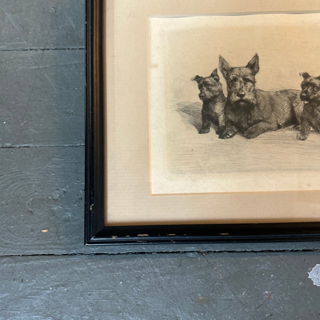 Rustic 1940’s Original Rustic Scottish Terrier Family Etching For Sale - Image 3 of 4