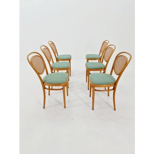 215 R Bentwood Dining Chair from Thonet For Sale - Image 18 of 18