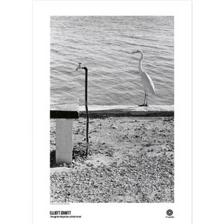 Elliott Erwitt Florida Keys Poster For Sale