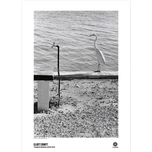Elliott Erwitt Florida Keys Poster For Sale