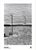 Elliott Erwitt Florida Keys Poster For Sale