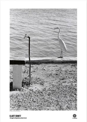 Elliott Erwitt Florida Keys Poster