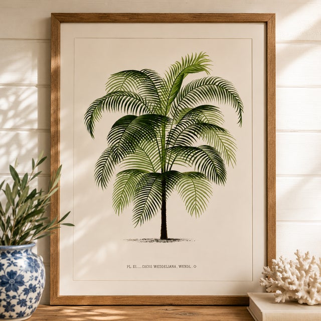 Not Yet Made - Made To Order Tropical Palm Study, Vintage Botanical Art Print Reproduction, 24" X 36" For Sale - Image 5 of 10