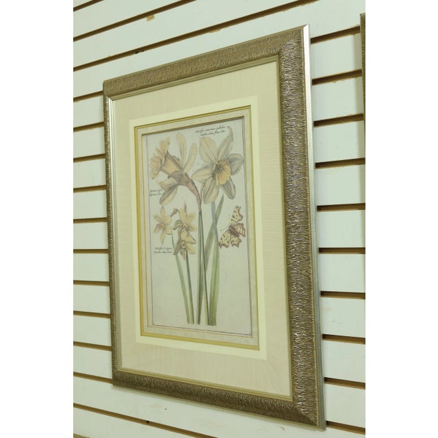Approx: 20 Years Old Quality Construction Professionally Matted & Framed Offered @ Fraction Original Retail Cost...