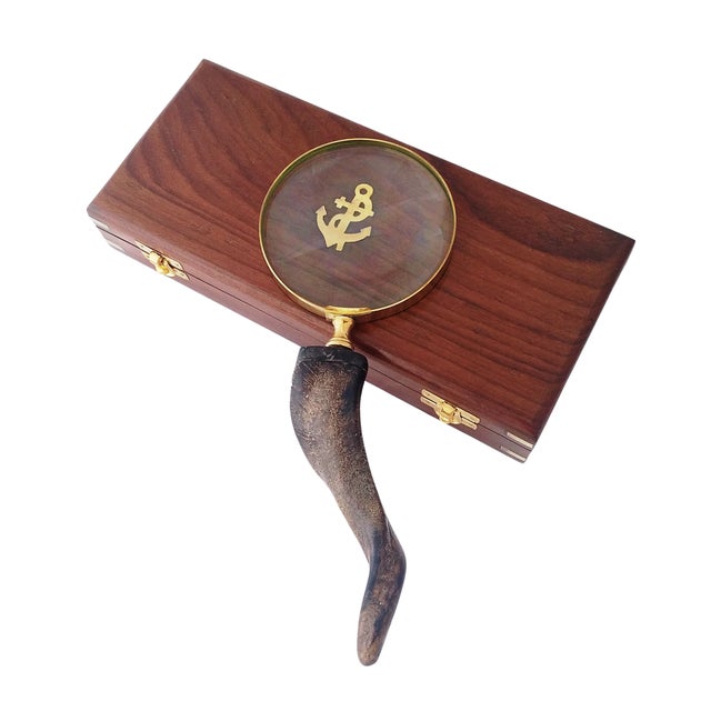 Mid-Century Brass Magnifying Glass With Horn Handle in Wooden Box For Sale - Image 4 of 5