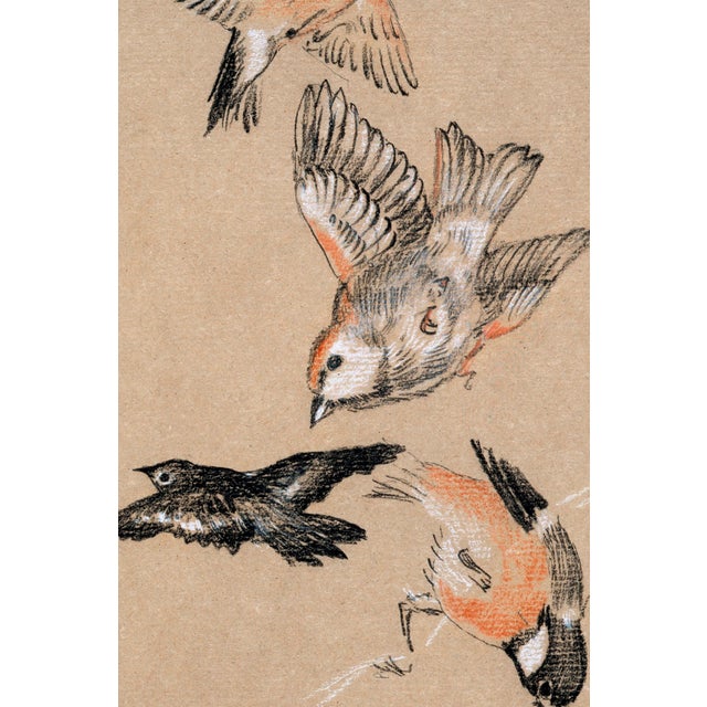 A charming example of late nineteenth-century British naturalist drawing, this vintage art print reproduction features...