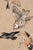 A charming example of late nineteenth-century British naturalist drawing, this vintage art print reproduction features...