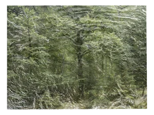 Ellie Davies, Seascapes 9, 2000s, Digital Chromogenic Print