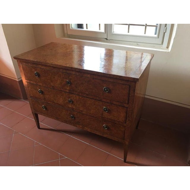 Late 18th Century Regency Elmwood Root Chest of Drawers, Italy, 1790 For Sale - Image 10 of 18