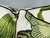 Celerie Kemble for Schumacher Hothouse Flowers Pillows, Pair For Sale In San Francisco - Image 6 of 12