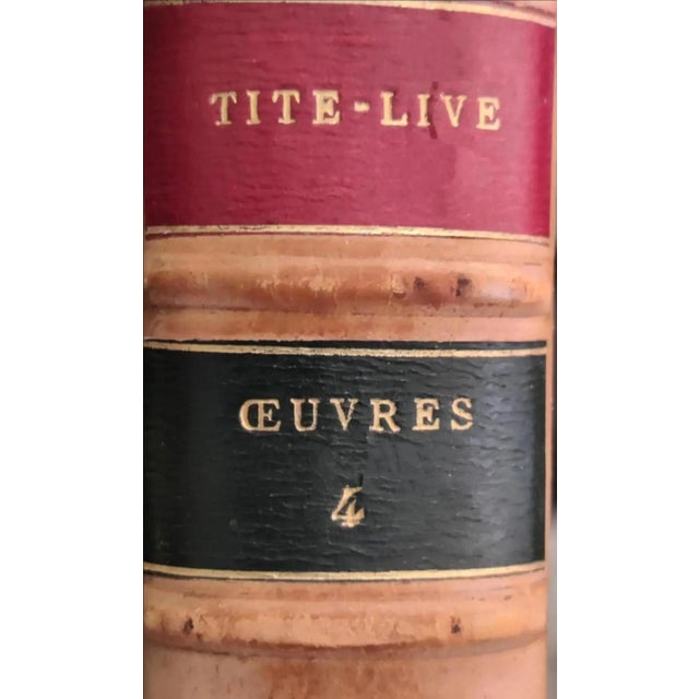 Animal Skin Circa 1818 Antiquarian French Leather Books- Set of 5 For Sale - Image 7 of 12