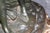 1920's Antique Bronze Statue of Children Playing Signed Clodion For Sale - Image 10 of 16