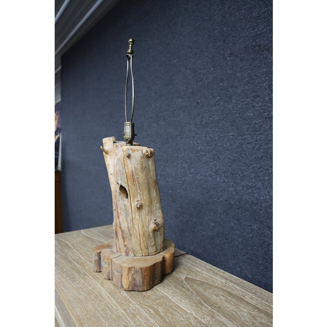 Natural Driftwood Table Lamp With Woodpecker Hole For Sale - Image 4 of 12