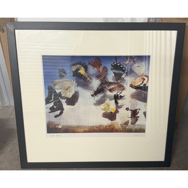 Dorrit Dokter Signed Limited Edition Photograph 16/25 “Wipe Out” Large Framed For Sale - Image 4 of 4